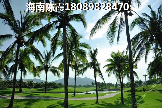 五指山XG政策