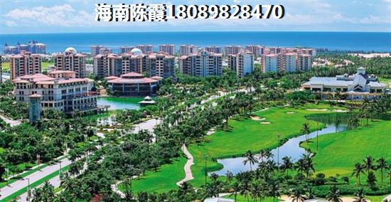 伊泰·天驕如何