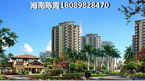 國禎·棕櫚島房價？