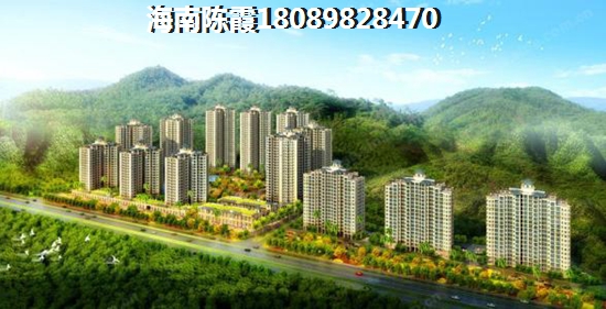三亞touzi前景分析！