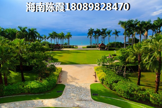 安富·雨林海詳情