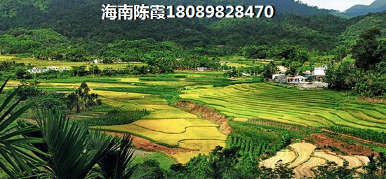 為何建業(yè)花園里海景房被“候鳥”老人搶著買