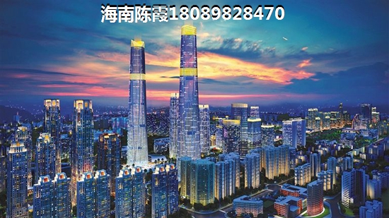 海南瓊海買房touzi價(jià)紙是什么？