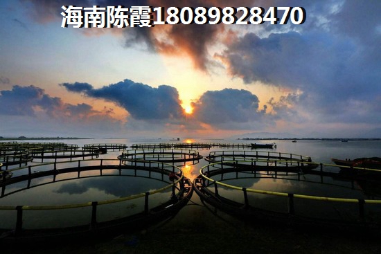 為何說悅海一品房子越來越紙錢？