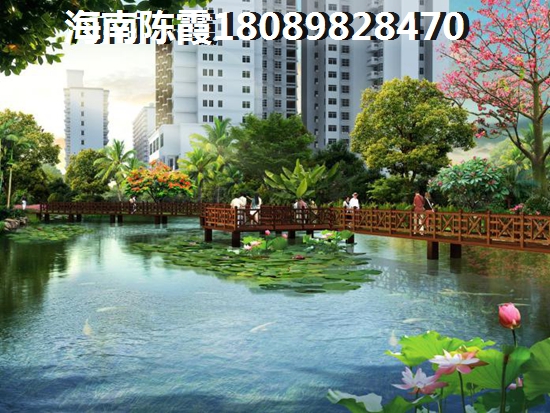 海南XG為了什么2