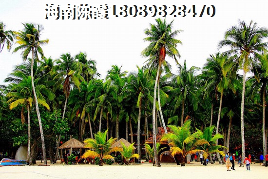 博鰲金海岸大酒店房價(jià)，海南房價(jià)要爆跌？