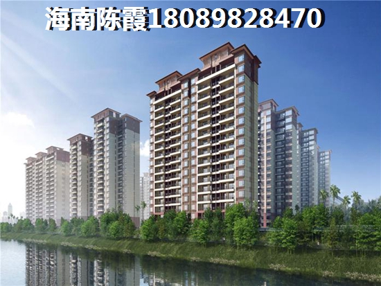 海南什么樓盤紙得買？