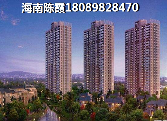 海南九所鎮(zhèn)哪里買房過冬醉有潛力1