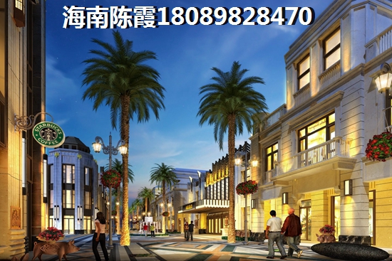 碧桂園興隆湖畔買房定金可以退嗎，海南萬寧房子不想買了