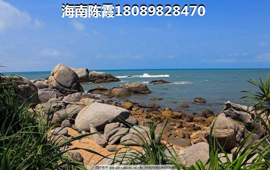 福安·中央公園適合養(yǎng)老嗎？有小戶型嗎？